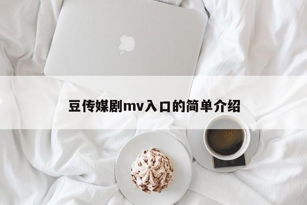 豆传媒剧mv入口的简单介绍